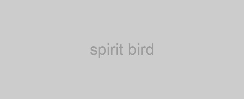 spirit bird